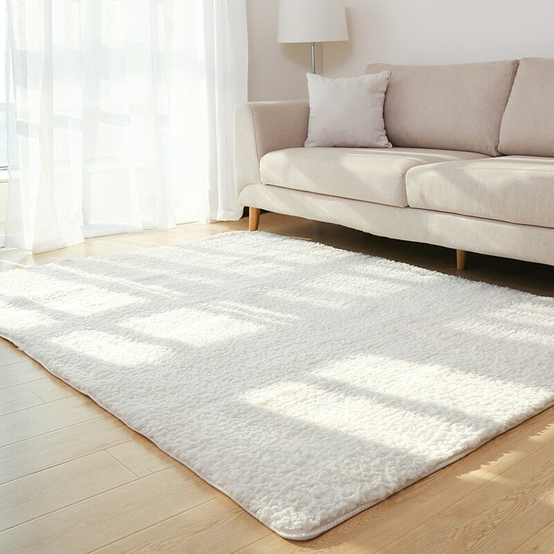 Multicolor Fluffy Living Room Carpet
